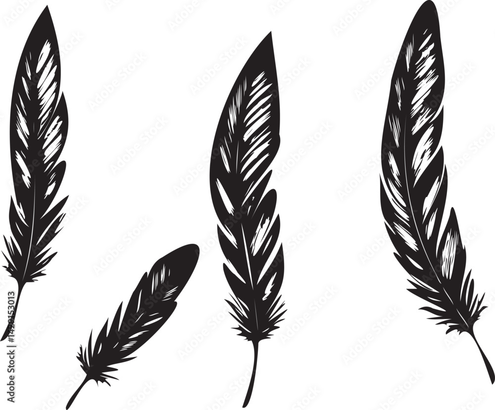 Obraz premium Feather silhouette vector set on white background