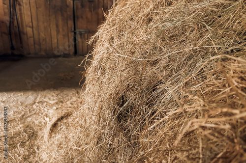 Hay Bale Close Up for Animal Feed and Rural Farm Life with Horses and Livestock