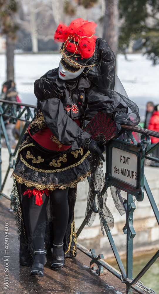Obraz premium Disguised Person - Annecy Venetian Carnival 2013