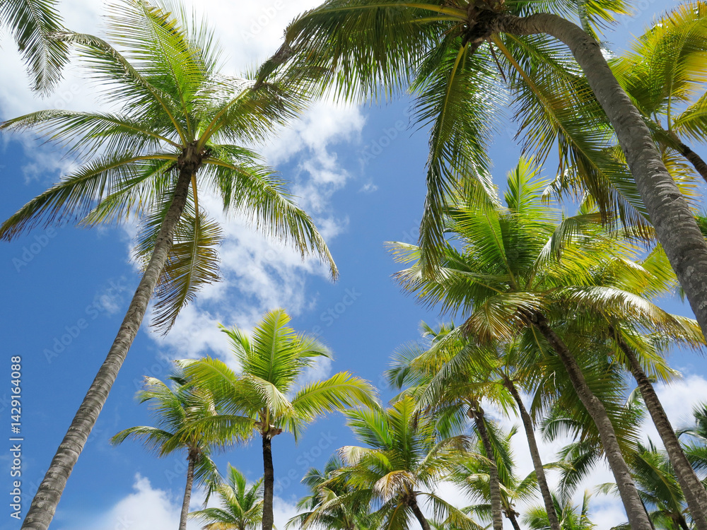Fototapeta premium Palm Trees Against a Bright Blue Sky