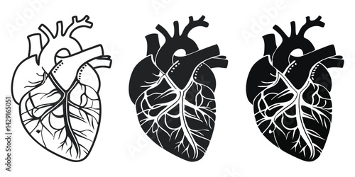 Realistic Human Heart Anatomy Vector Illustration Set with Detailed Veins and Arteries in Black and White