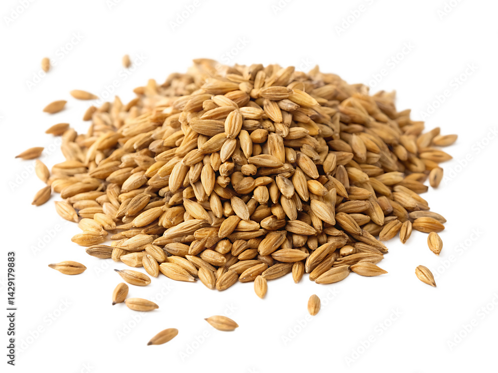 Fototapeta premium Pile of golden barley grains for food and drink production isolated on white background