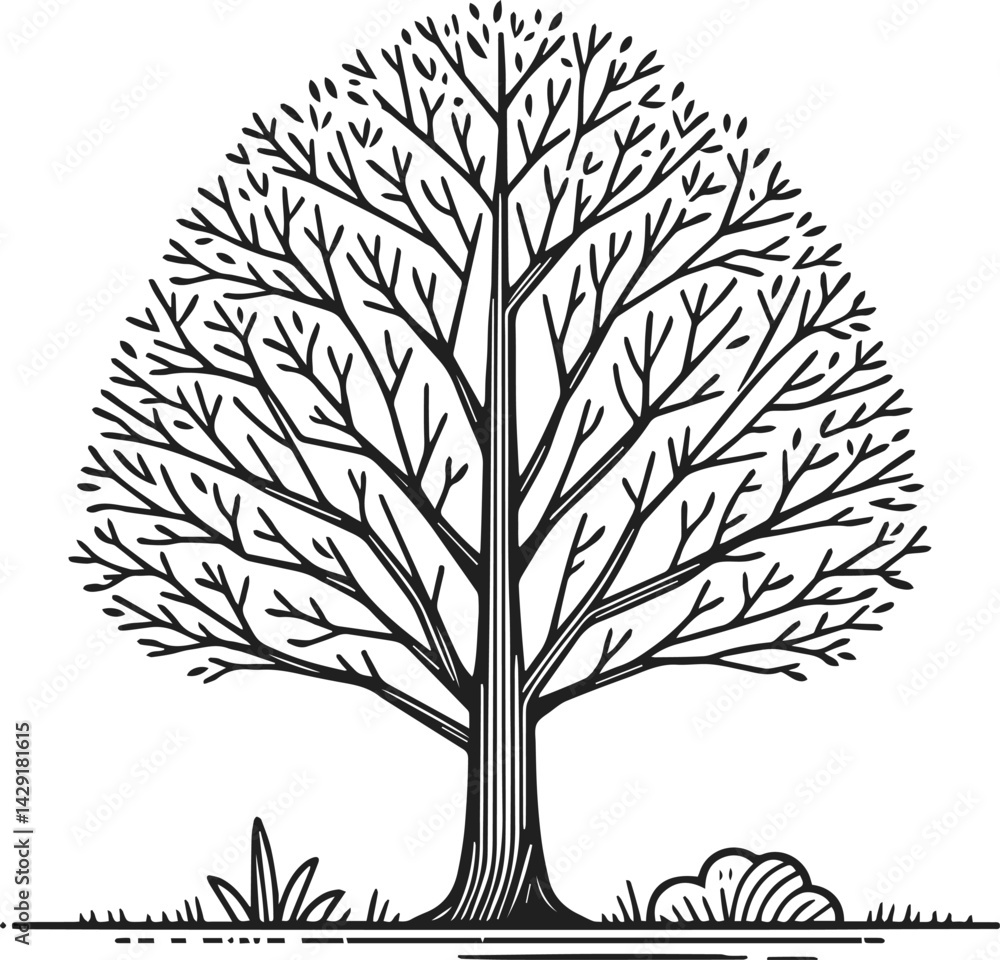 Obraz premium Simple Tree Line-Art , Whimsical Tree Vector Line Art, Elegant Whimsical Line Art Tree Illustration on White or Transparent Background 