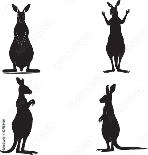 Kangaroo standing on hind legs silhouette vector