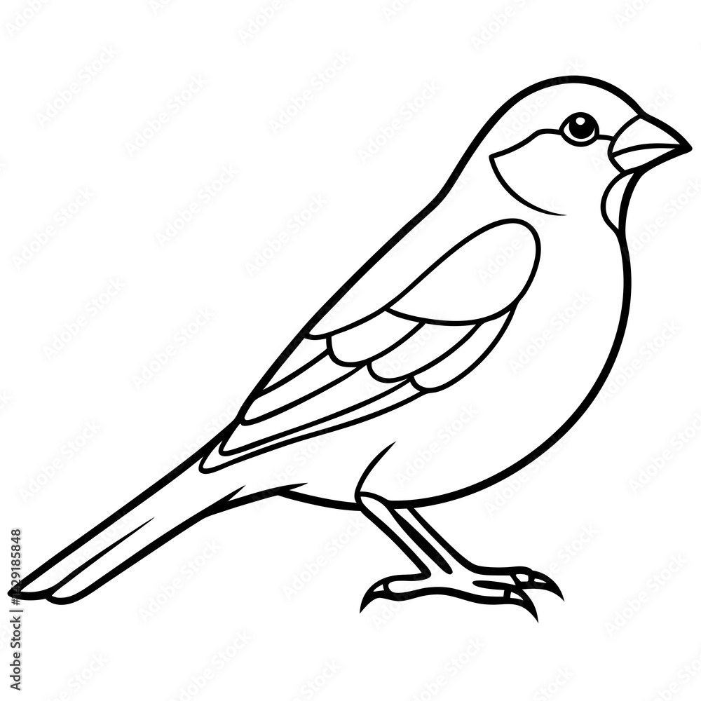 Fototapeta premium Single-Line Finch Vector Design