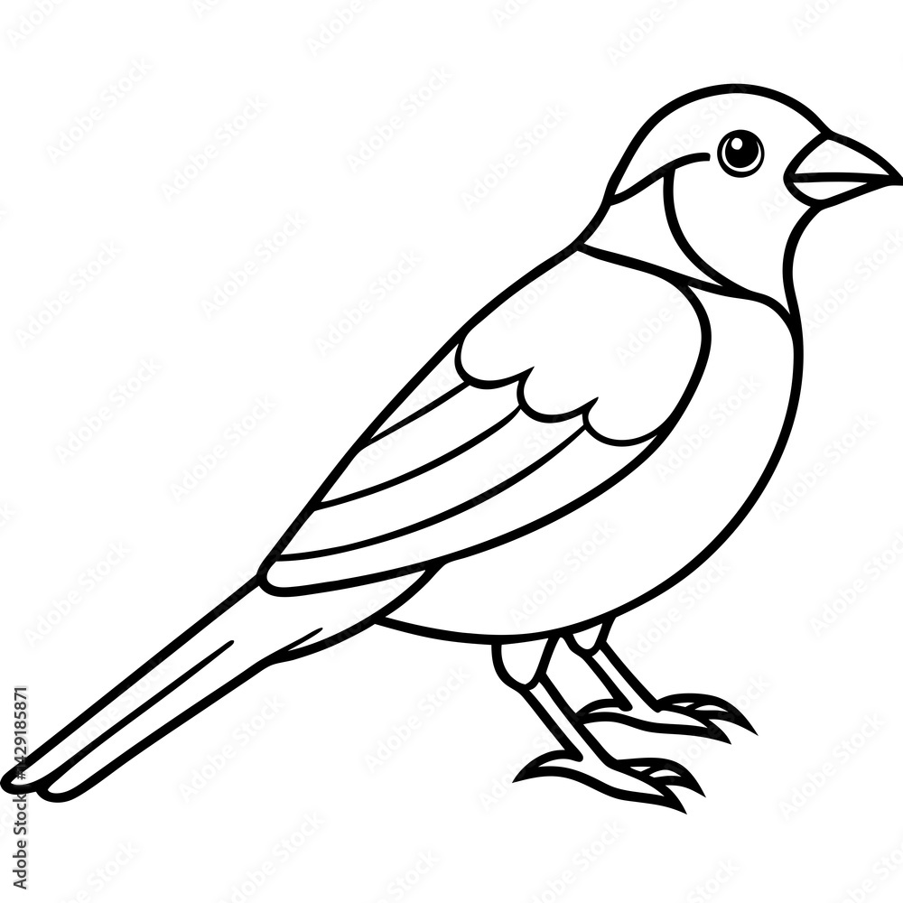 Fototapeta premium Single-Line Finch Vector Design
