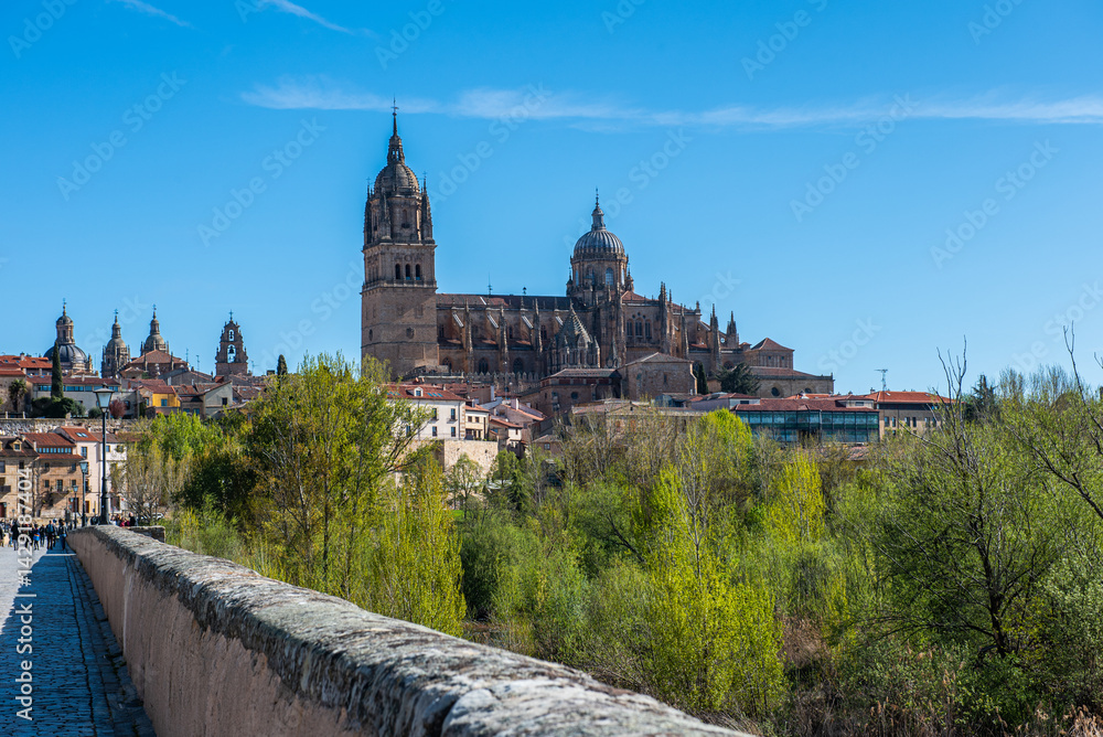 Fototapeta premium Holy Week in the academic city of Salamanca, Spain