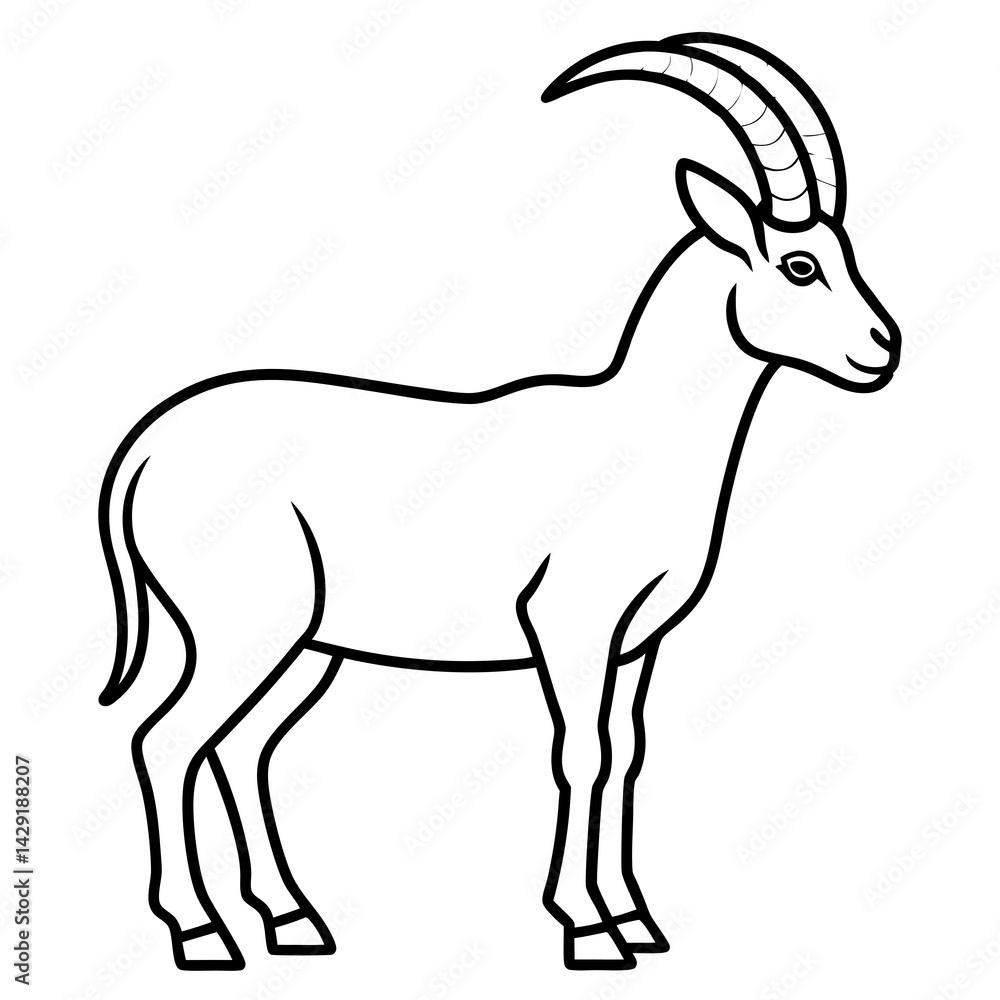 Fototapeta premium Sleek Ibex Line Art Vector