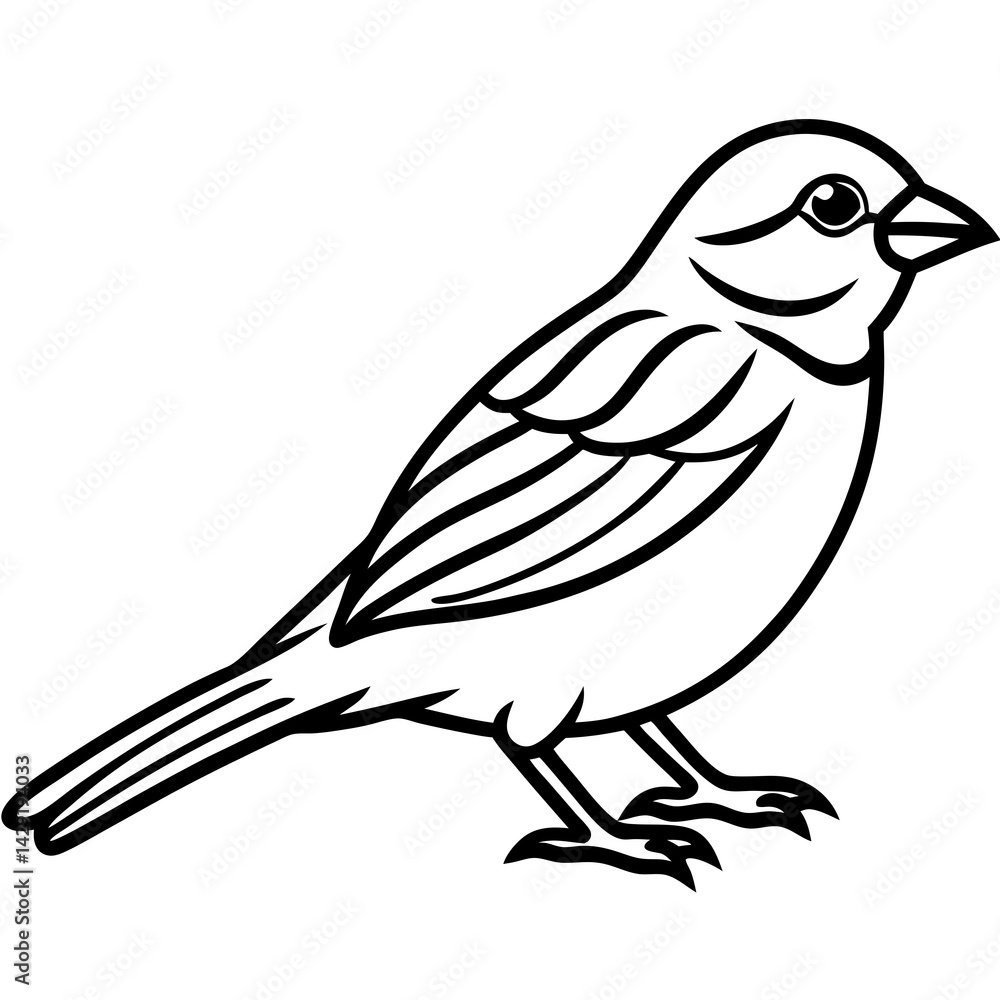Obraz premium Sparrow Outline One Line Vector Design