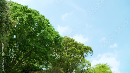 森と空