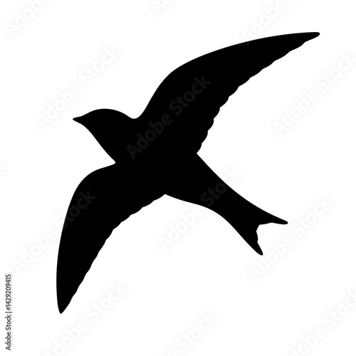 Silhouette of a common swift, apus apus, bird in flight image