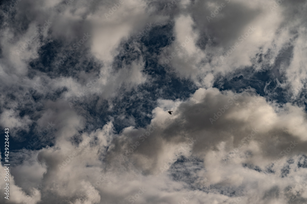 Fototapeta premium Spectacular clouds in the sky 310325