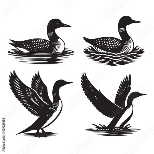 Vector Set of Ducks Realistic and Cartoon Style Illustrations