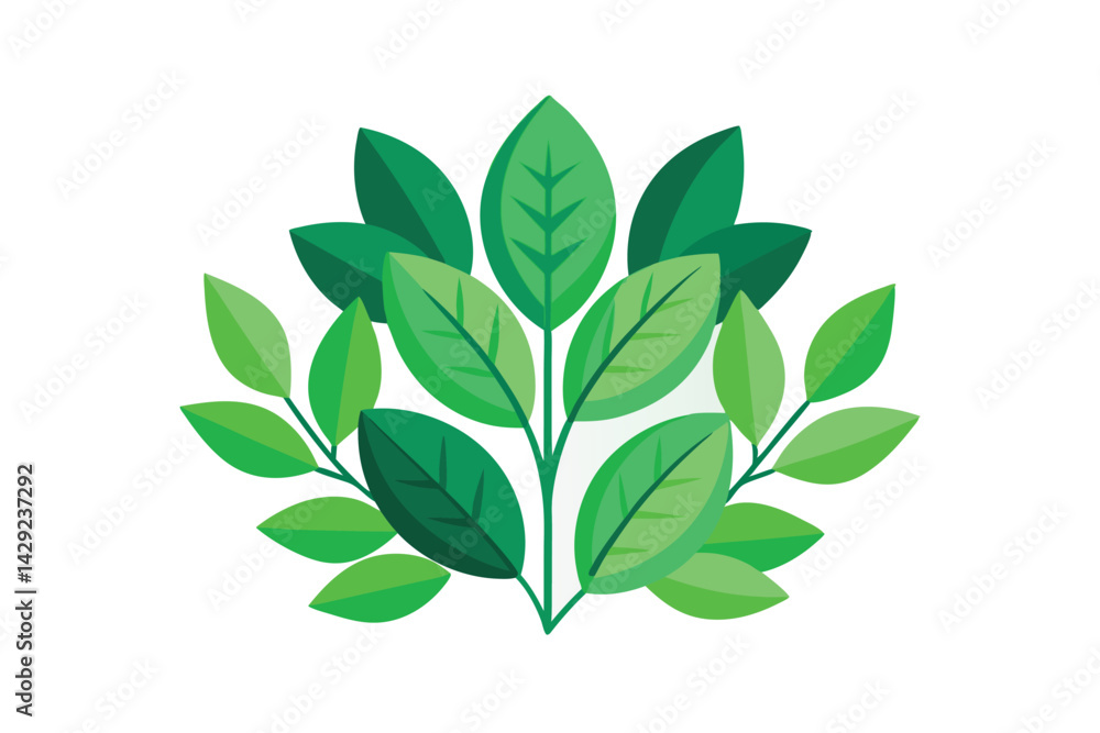 Naklejka premium green leaves isolated on white background