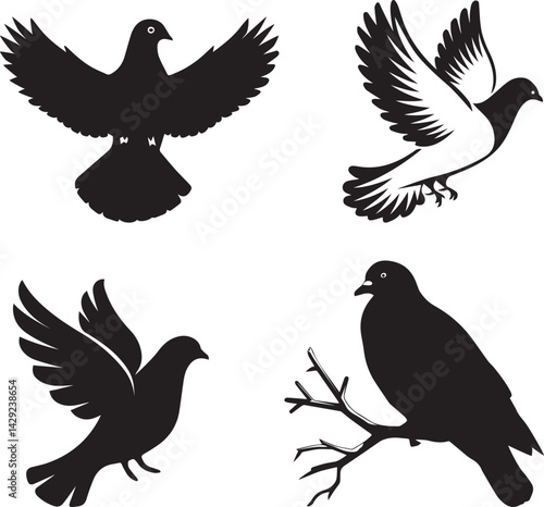 Four Black Silhouette Pigeons in Flight and Rest