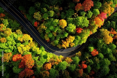Aerial View of Winding Road Through Vibrant Autumn Forest Landscape