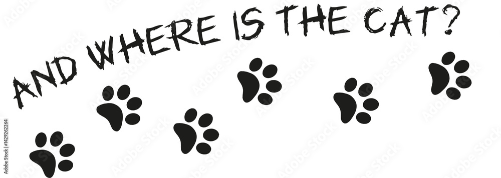 Where is the cat? Cat tracks Where is the cat? Cat tracks