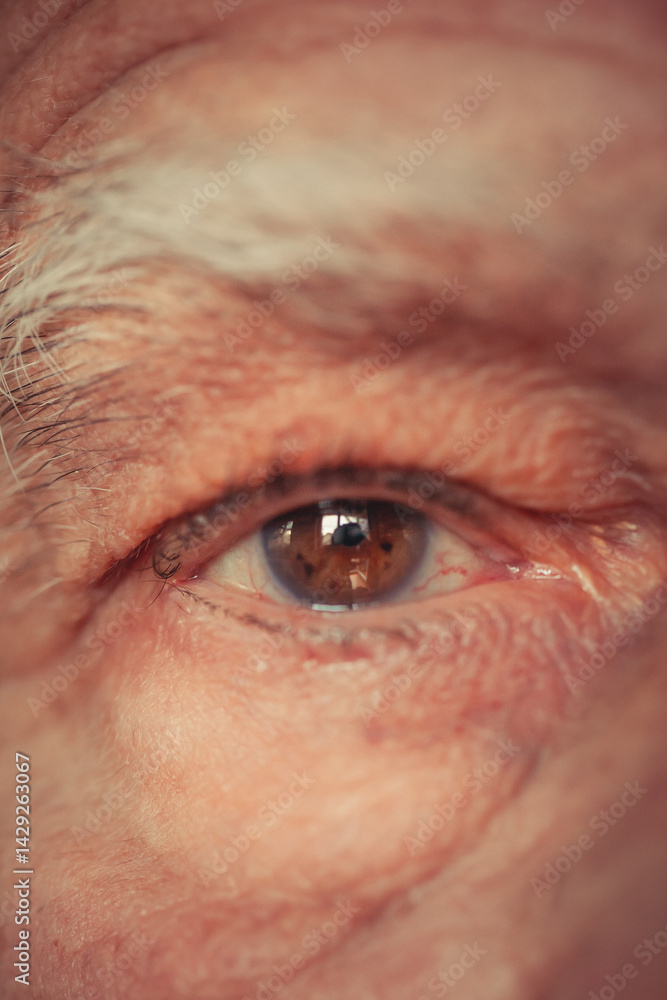 Fototapeta premium Macro Human Eye Close-Up