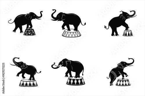 elephant-performing