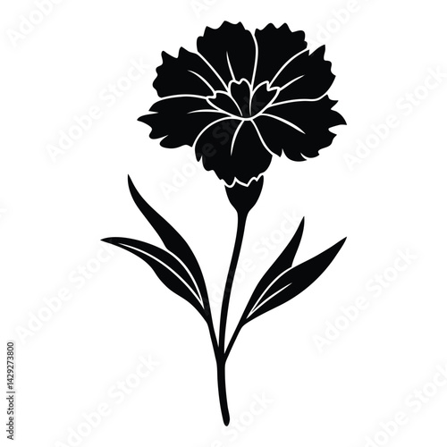 clove pink flower silhouette vector on white background