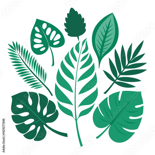  8 tropical leaf silhouettes in varying styles, with a balance between broad monstera leaves and finer palm fronds