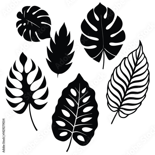  8 tropical leaf silhouettes in varying styles, with a balance between broad monstera leaves and finer palm fronds