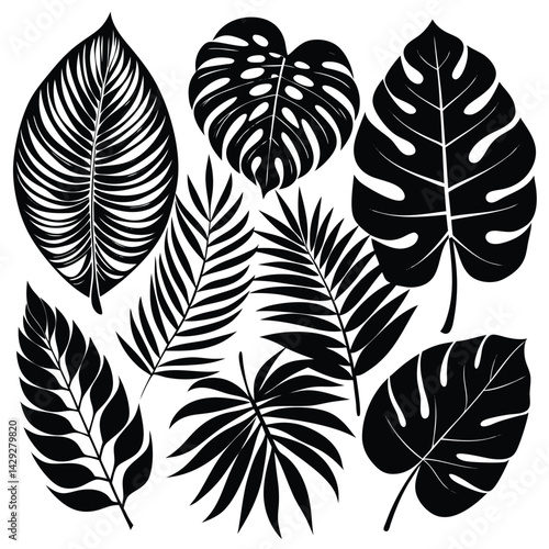  8 tropical leaf silhouettes in varying styles, with a balance between broad monstera leaves and finer palm fronds