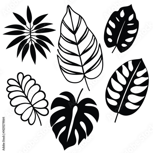  8 tropical leaf silhouettes in varying styles, with a balance between broad monstera leaves and finer palm fronds