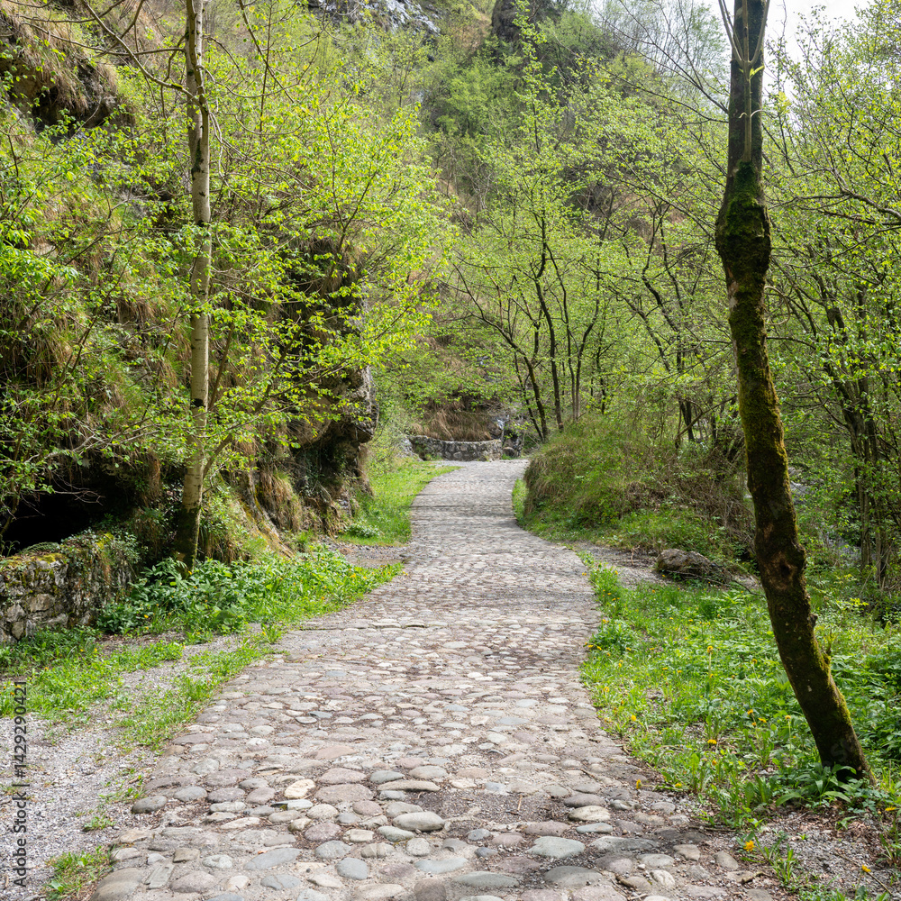 Val Vertova, Bergamo, lombardia, italia