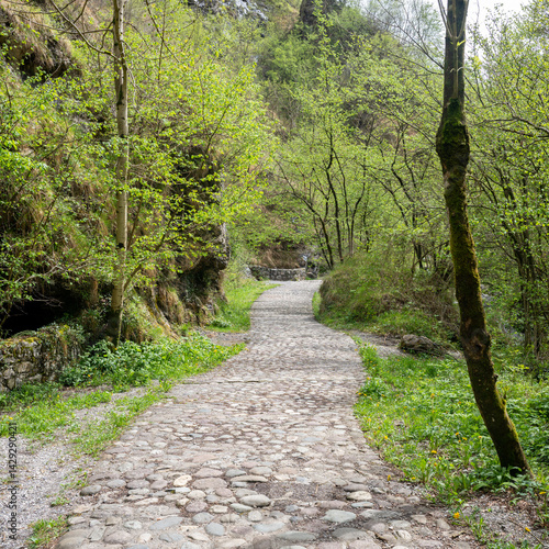 Obraz na płótnie Val Vertova, Bergamo, lombardia, italia w salonie