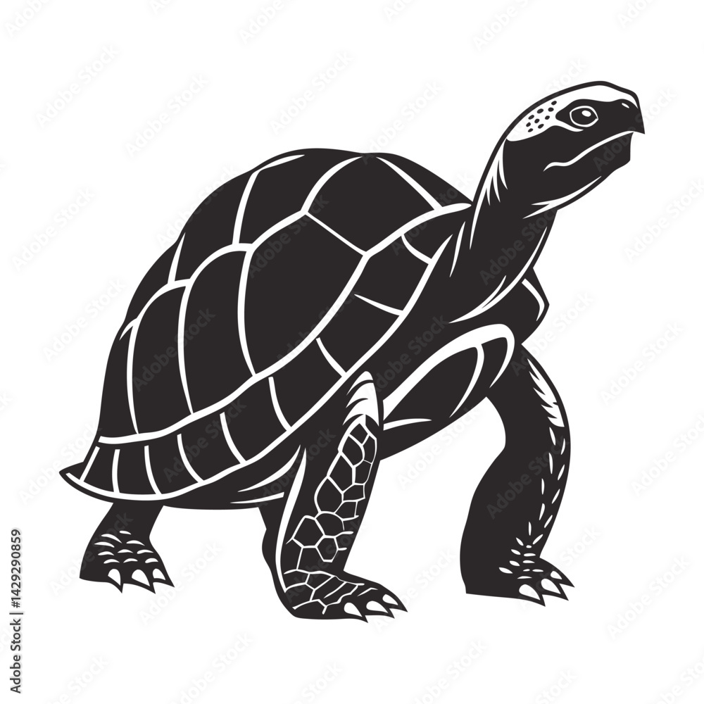 Fototapeta premium turtle vector illustration
