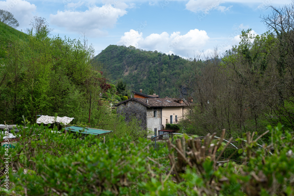 Val Vertova, Bergamo, lombardia, italia