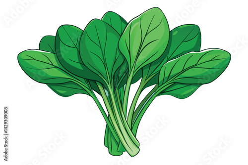 Freshly picked spinach leaves with a bright green color, suitable for use in healthy food, nutrition, and green lifestyle designs and artwork