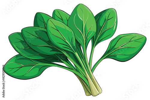 A healthy and detailed illustration of fresh spinach leaves, emphasizing their green color and texture, ideal for health, wellness, and organic food concepts