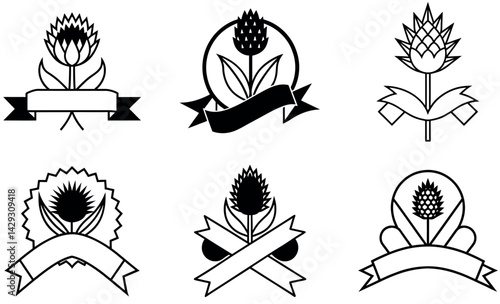 Black and White Floral and Ribbon Design Elements