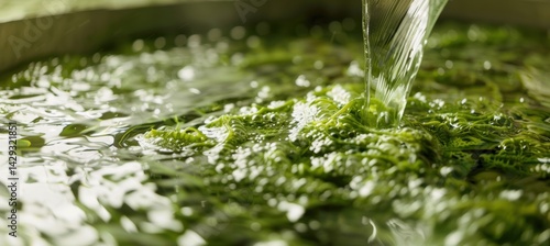 Algae Biofuel Innovation in Laboratory Setting for Eco-Friendly Energy Solutions