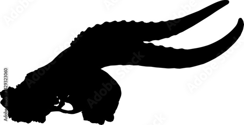 Skull with horn silhouette