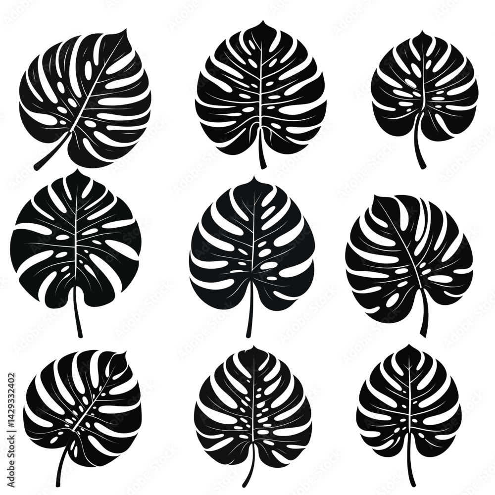 Fototapeta premium Monstera Leaf Silhouette Set, Collection of Nine Monstera Deliciosa Leaf Silhouettes in Black Vector