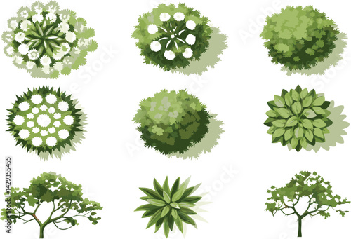 Vector top view set of green trees, tropical plants, and blooming spring flowers for outdoor map and garden architecture design
