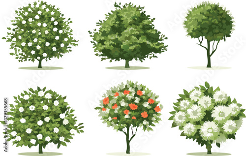 Vector top view set of green trees, tropical plants, and blooming spring flowers for outdoor map and garden architecture design
