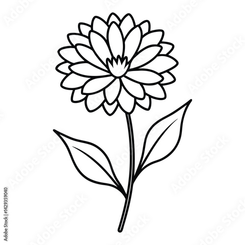 calendula flower line art vector on white background