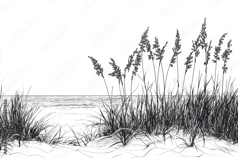 Obraz premium Minimalist Line Art of Sea Oats Against a Serene Beach Backdrop