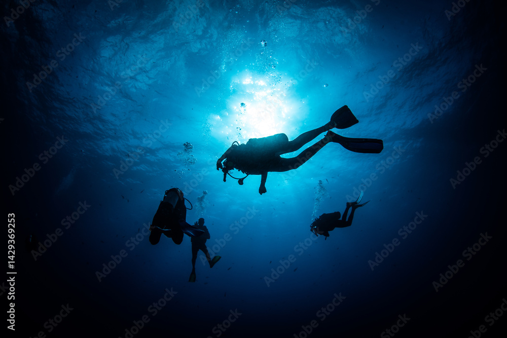 Obraz premium scuba diver silhouette