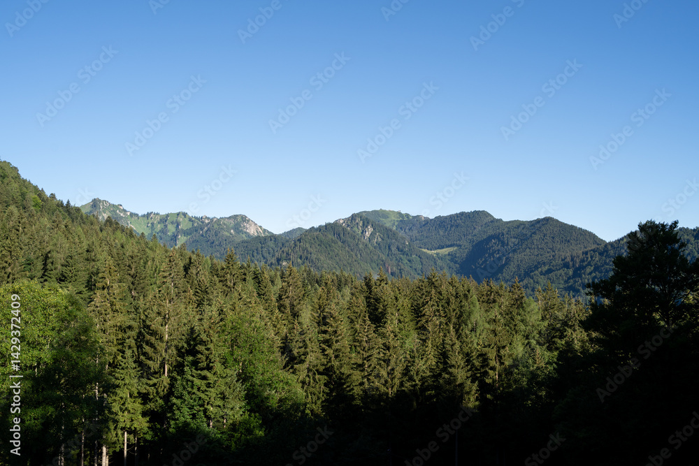 Obraz premium Landscape with hills and trees in the mountains
