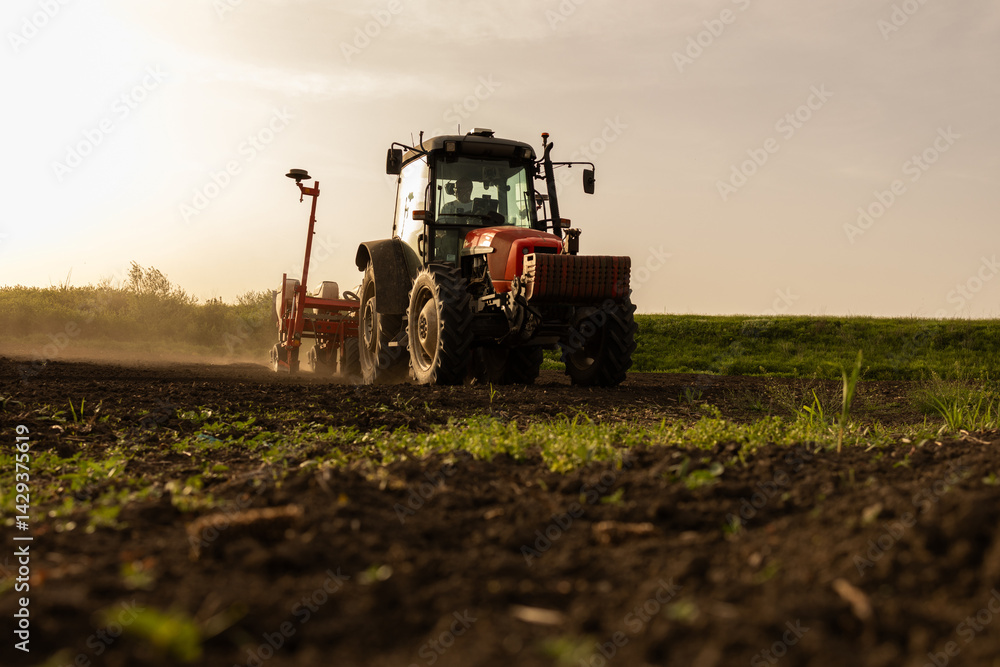 Obraz premium Farmer with tractor seeding in sunset