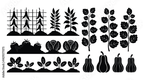 A collection of black silhouette illustrations depicting various garden plants and vegetables, including tomatoes, peppers, herbs, cabbages, and pumpkins