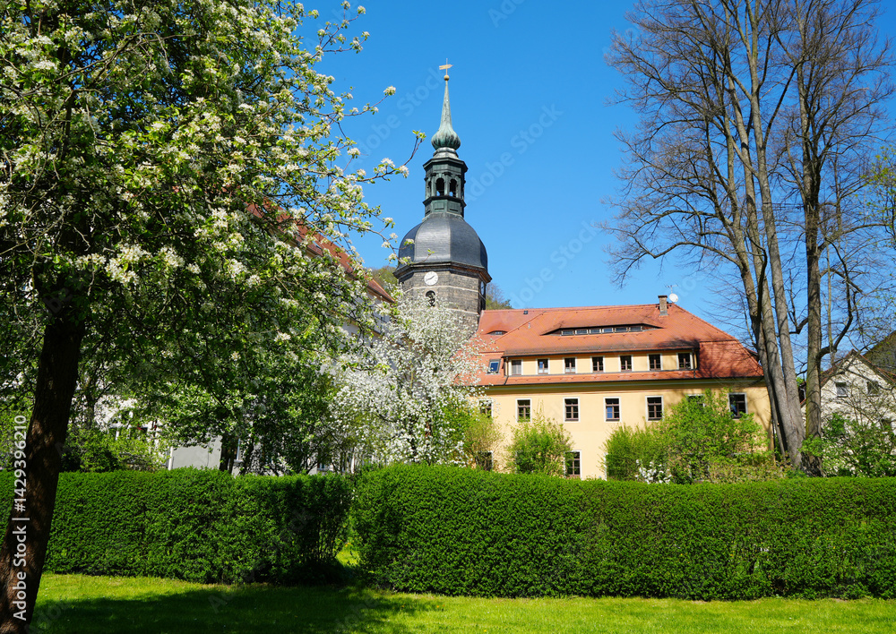 St John s Church in Bad Schandau, Saxon Switzerland, with beautiful blooming trees