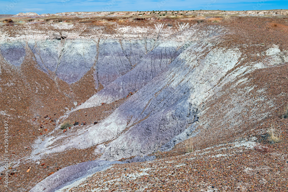 Colorful Silt Layes in a High Desert