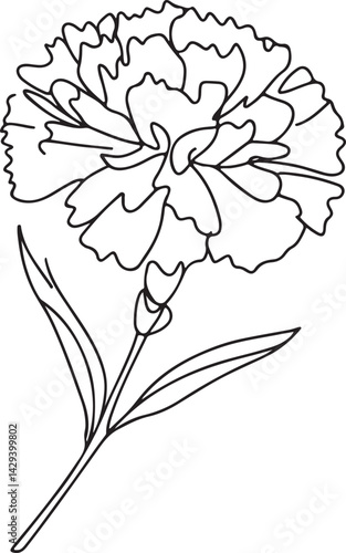 Simple Line Art of Carnation Flower
