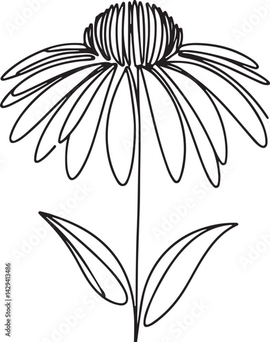 Elegant Echinacea Flower Line Art